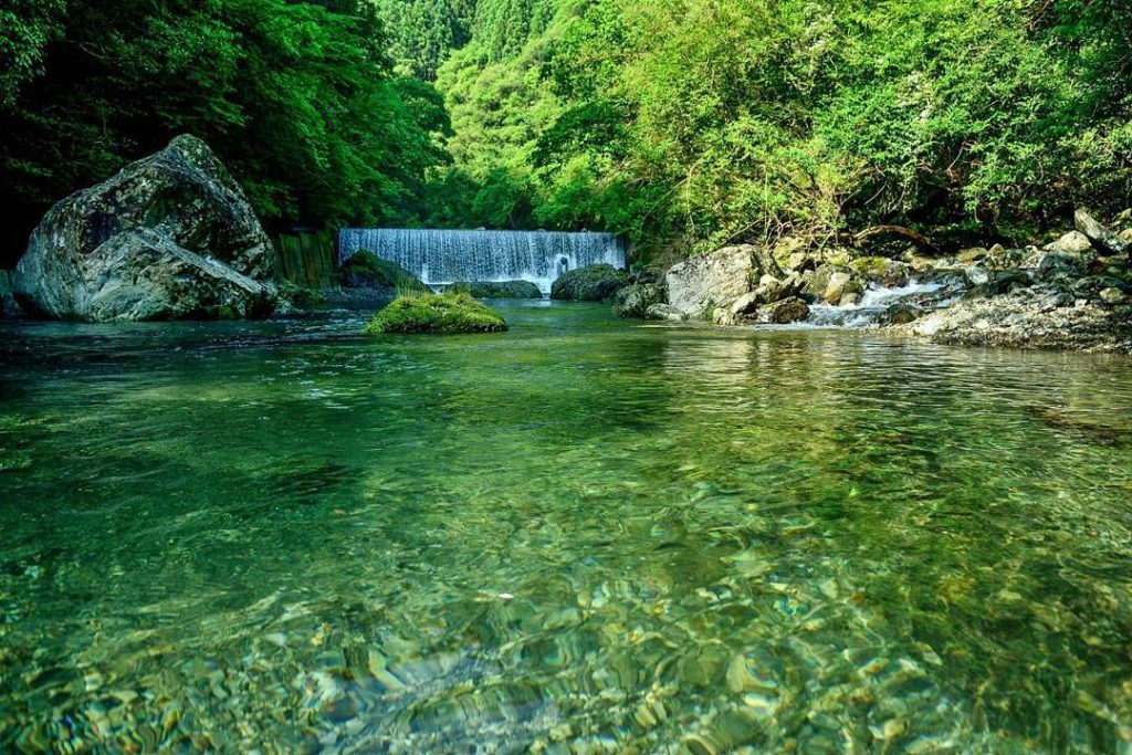 @Japan Travel: Cool off at the None-gawa Creek, a stunning lush green setting in Tokushima.
Sh…
