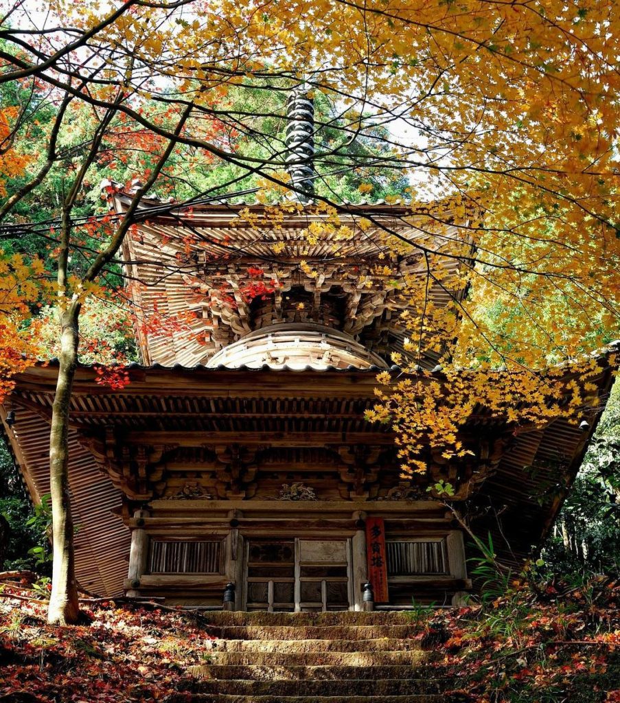 @Visit Japan: Kinosaki Onsen looks pretty with cherry blossoms in spring, but visitors are als…