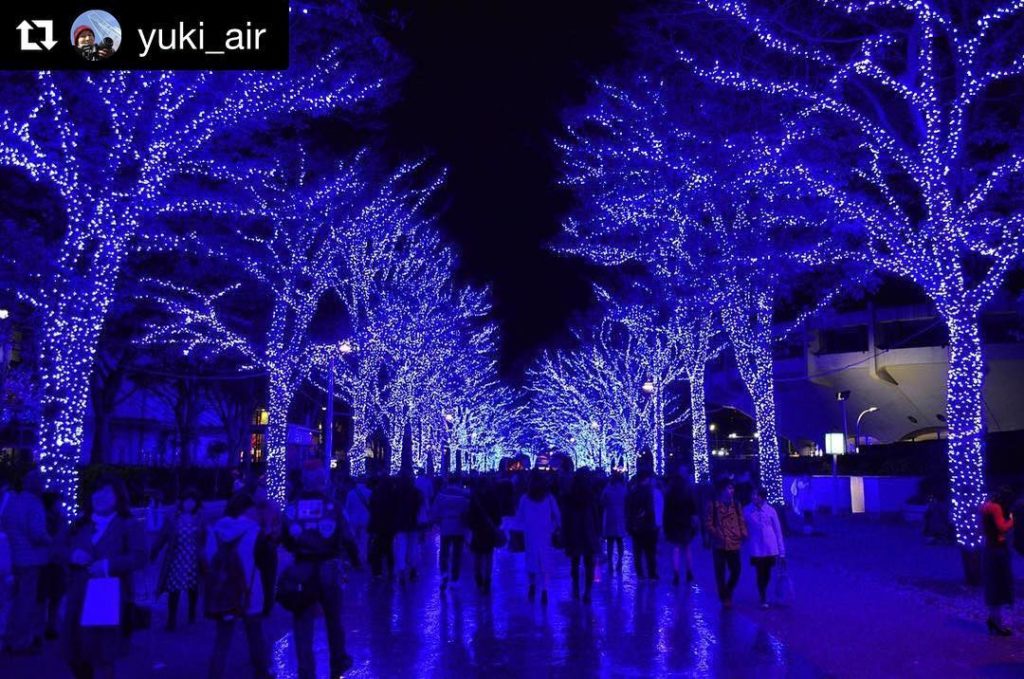 @Japan Travel: Wow, the lights display in Yogogi park this year is a new one! See more on illu…