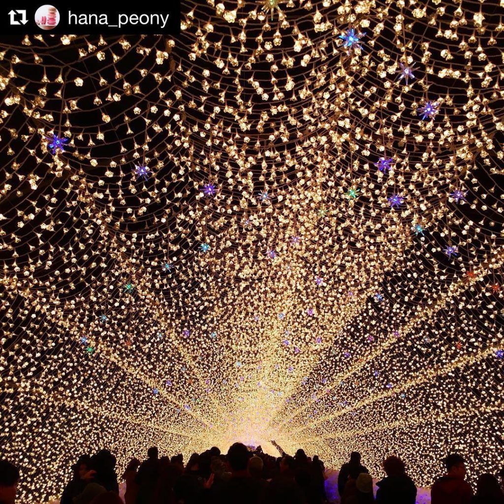 @Japan Travel: No one does winter illuminations quite like Japan. This stunning image was taken…
