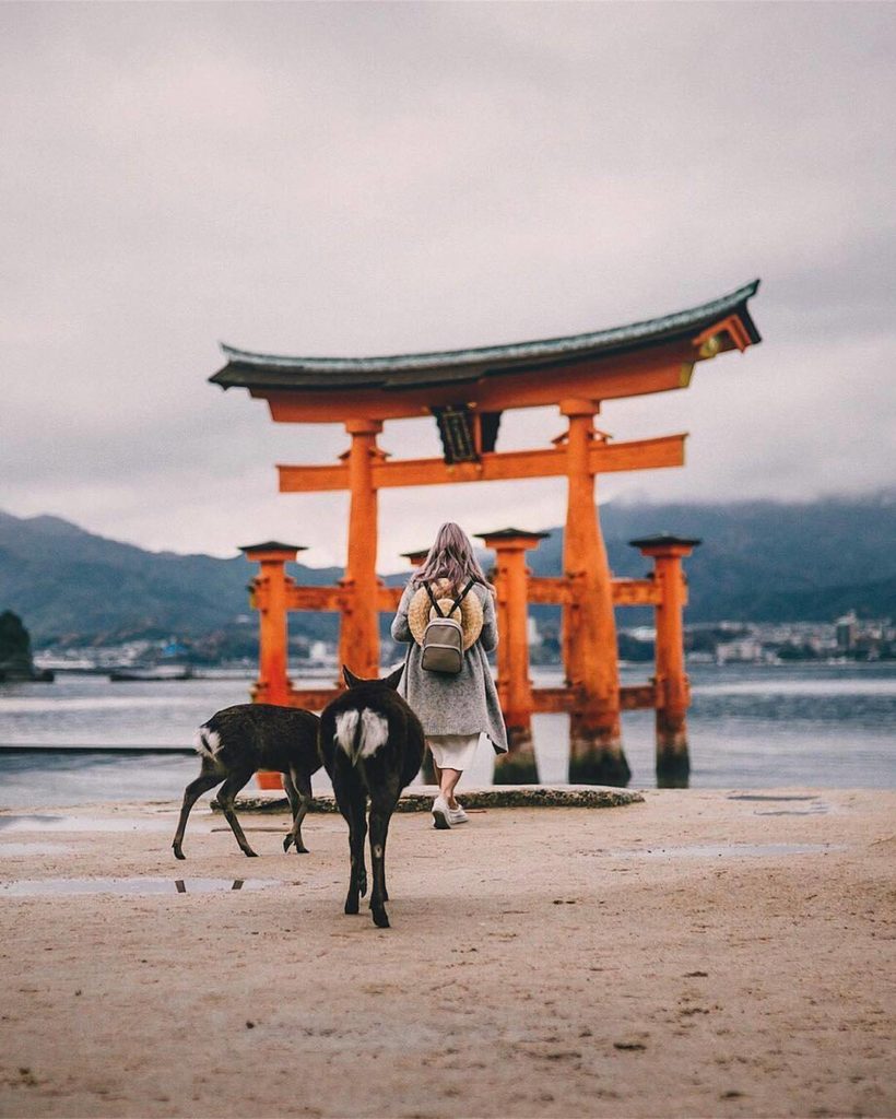 @Visit Japan: @Qantas has launched direct flights from Melbourne to Tokyo Narita. We want to h…