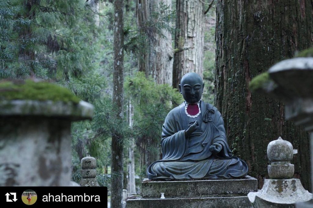 @Japan Travel: Tranquility at Mt. Koya. #Repost @ahahambra ・・・
 #mountkoya #koyasan #koyasantem…
