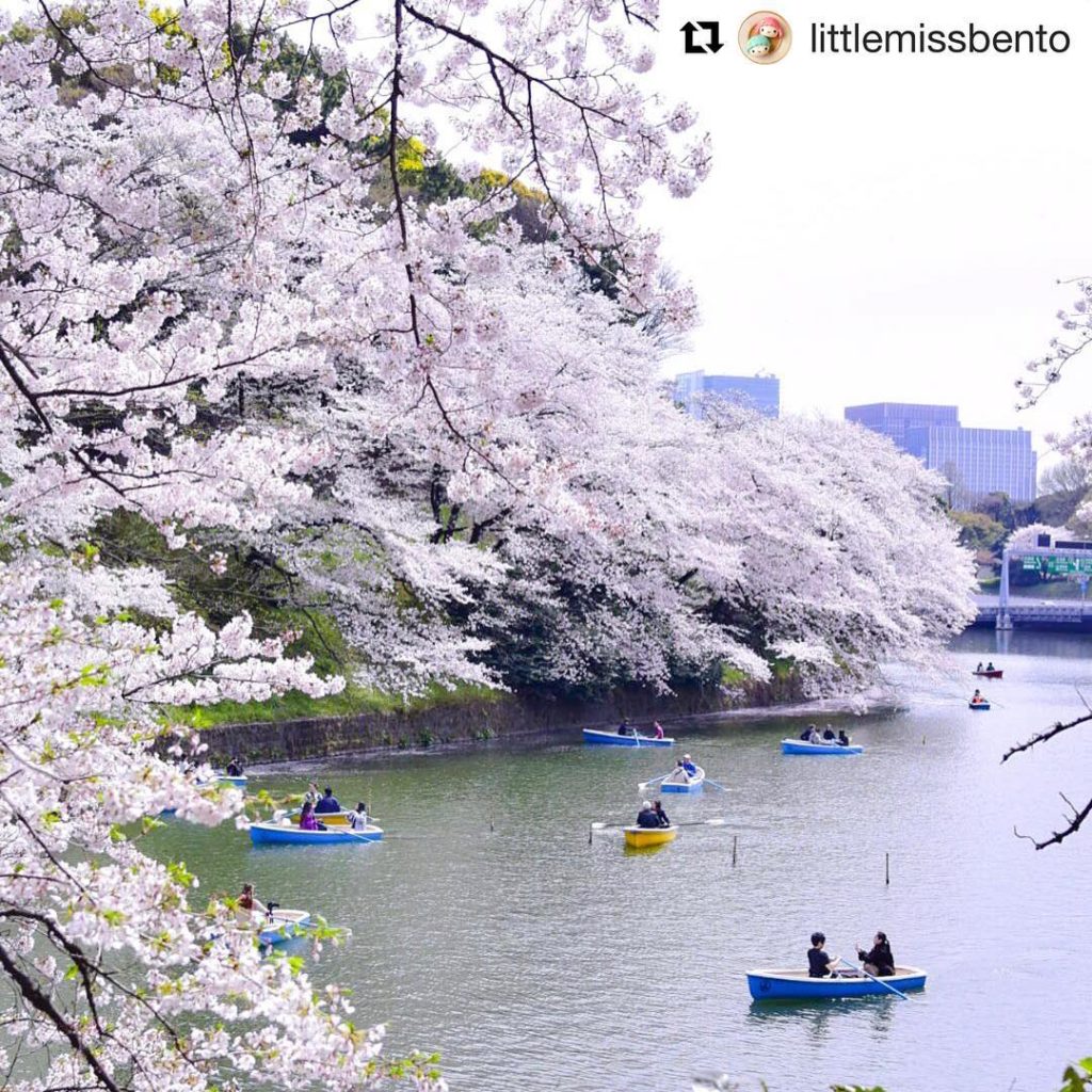 @Japan Travel: Just amazing.
#Repost @littlemissbento. Thanks for the tag! ・
・
・
From the aut…