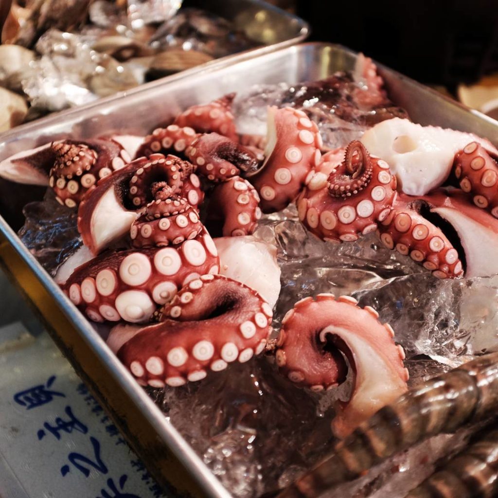 @Japan Travel: Did you know that an octopus can have up to 240 suction cups on each arm? Come t…