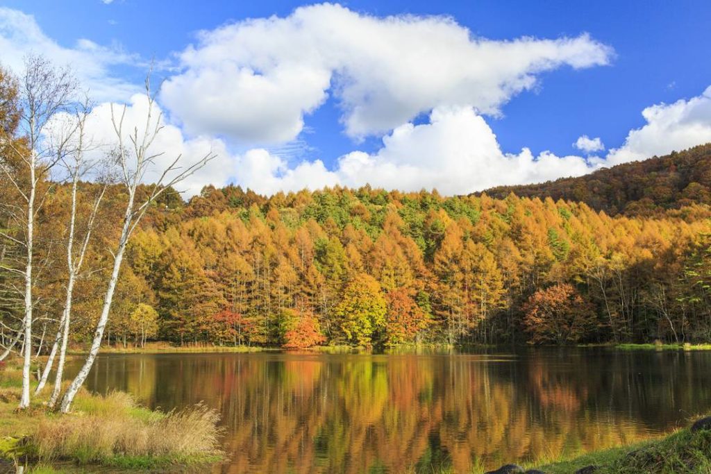 @Visit Japan: Location: Mishakaike Pond, Nagano, Japan
© Office K
. 
We introduce you to a pho…