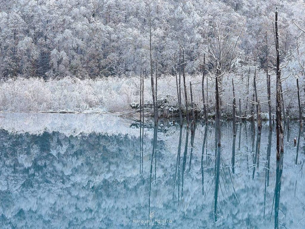 @Visit Japan: winter comes around
Location: Biei, Hokkaido, Japan
Photo by @hiroshi_tanita
. 
…
