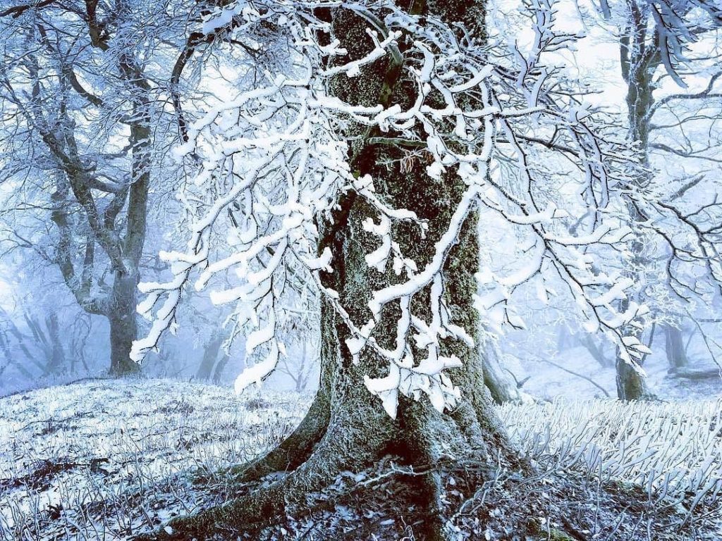 @Visit Japan: Driving through Mt. Tsurugi Forest Road in Tokushima prefecture, you’ll find you…