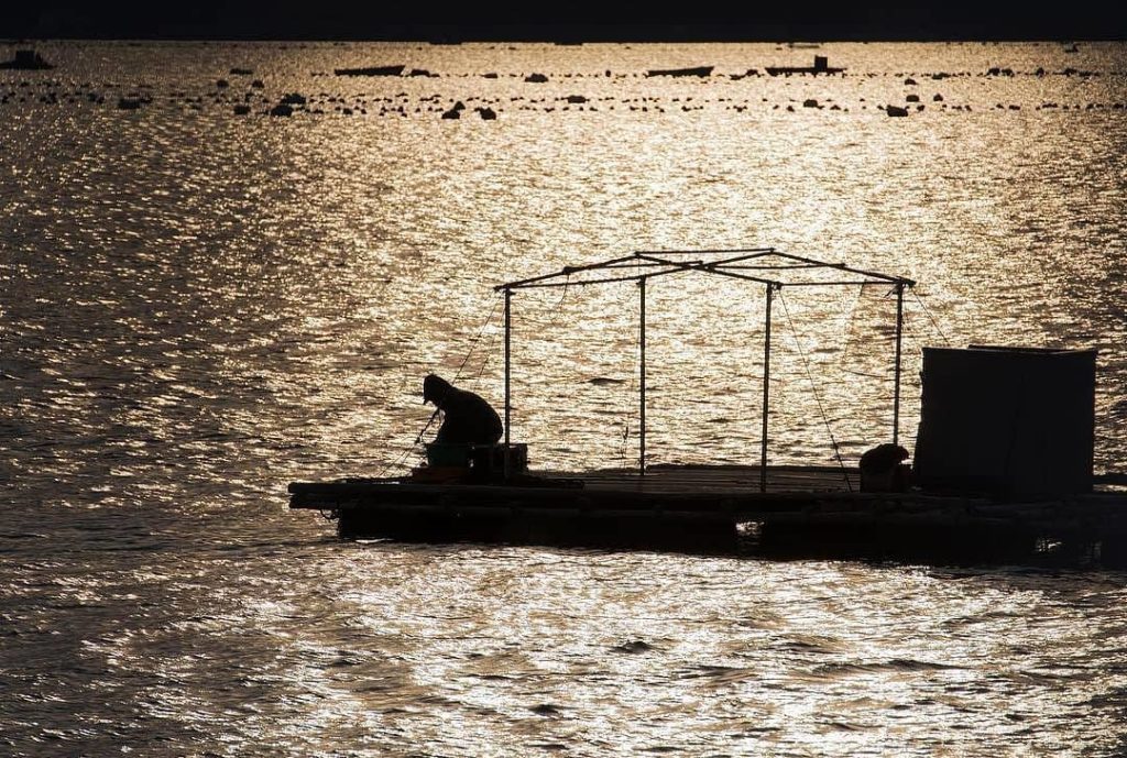 @Visit Japan: Photograph by @atsushi.k.photography taken at the “Instameet @ Ise-Shima Nationa…