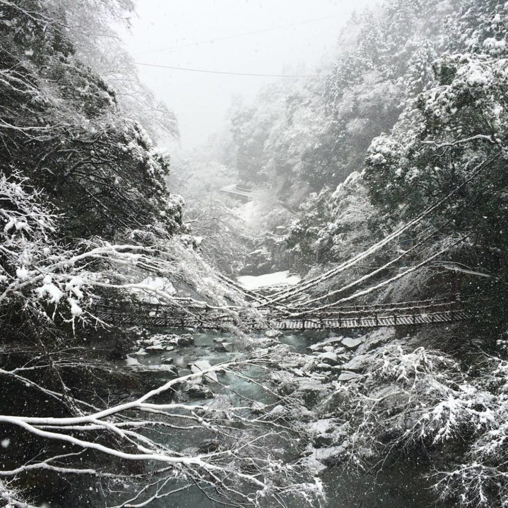 @Japan Travel: Heading to Tokushima to see the beautiful Iya Valley and majestic Naruto whirlpo…