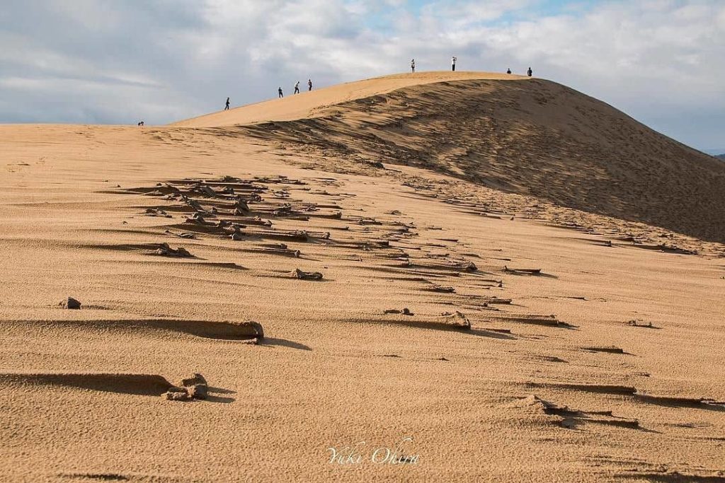 @Visit Japan: The capricious wind of the Sea of Japan carves amazing reliefs on the face of To…