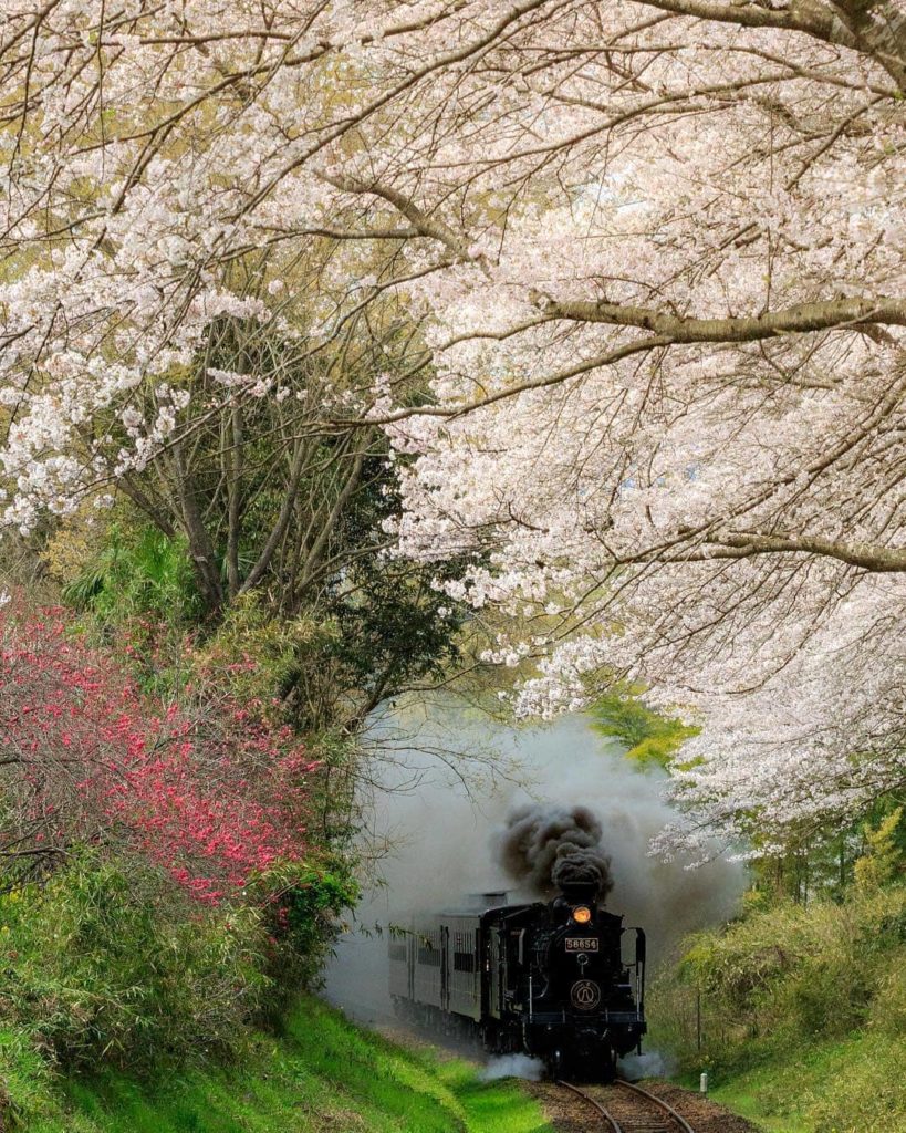 @Visit Japan: A picturesque scenery of the early 20th century emerge with powerful sounds and …