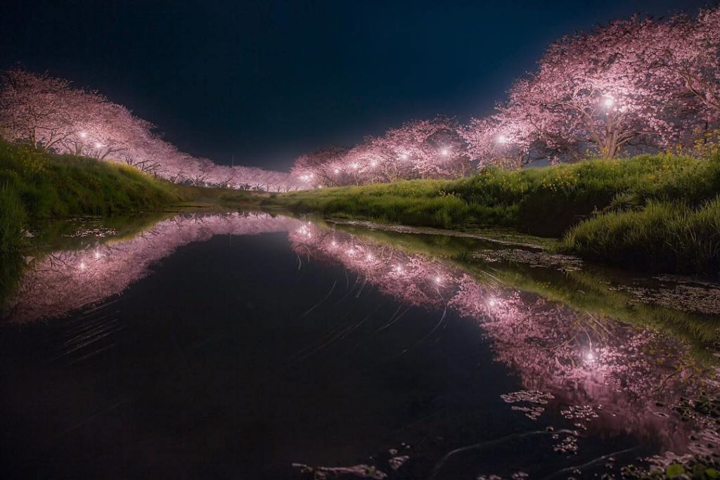 @Visit Japan: Location: Kusaba River, Fukuoka
Photo by @kimako_
.
We introduce you to a photo…