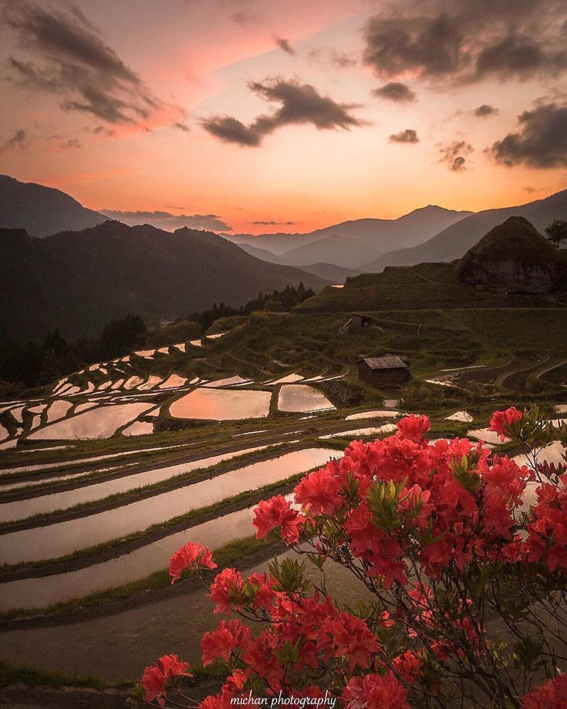 @Visit Japan: Location: Maruyama Senmaida Rice Field #Kumano #Mie
Photo by @michan5d3
.
We in…