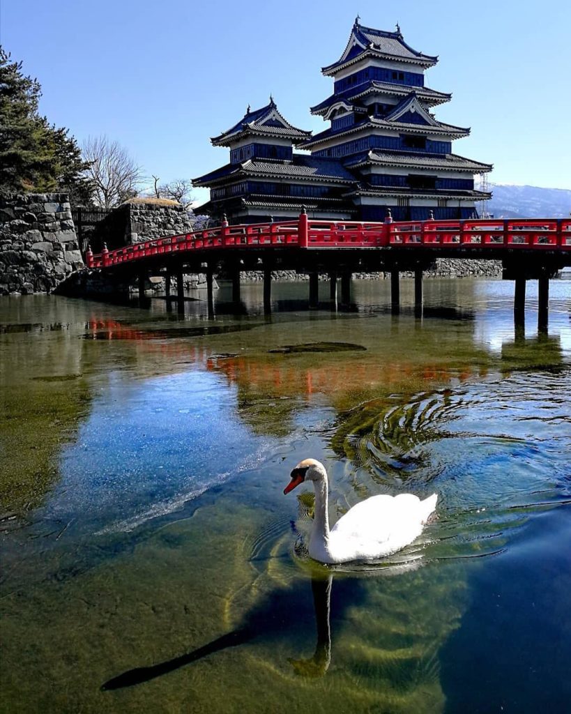 @Japan Travel: Check out this stunning photo of Matsumoto Castle from @nozawaonsenjapan! The ca…