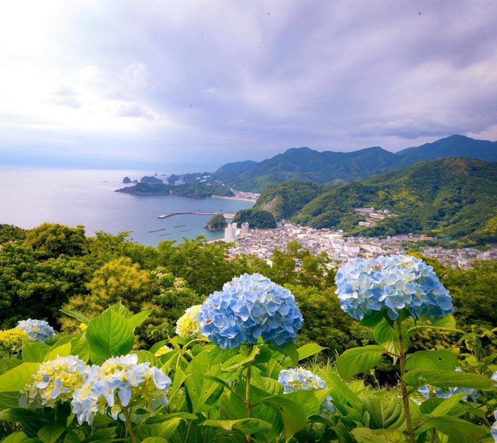 @Visit Japan: Ushibarayama Chomin no Mori Park in Matsuzaki-cho is also known as #HydrangeaHil…
