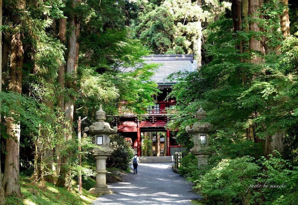 @Visit Japan: Deep in the Japanese cedar forest, solemnly stands the dark red “Romon (two-stor…