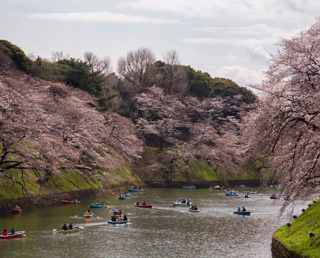 @Japan Travel: Add in a run around the Tokyo Imperial Palace to your travel itinerary! Start ou…