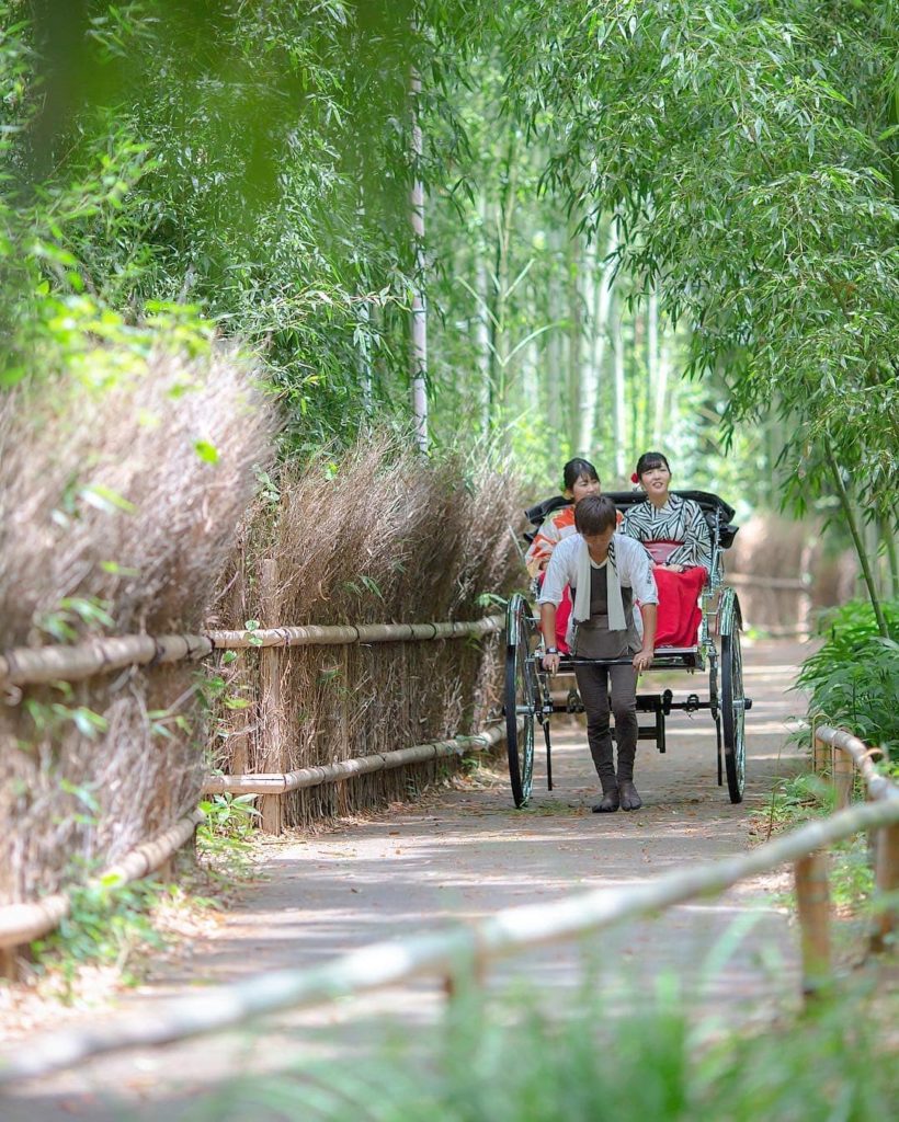 @Visit Japan: Before you visit Arashiyama in Kyoto, you might first drop in at one of the kimo…