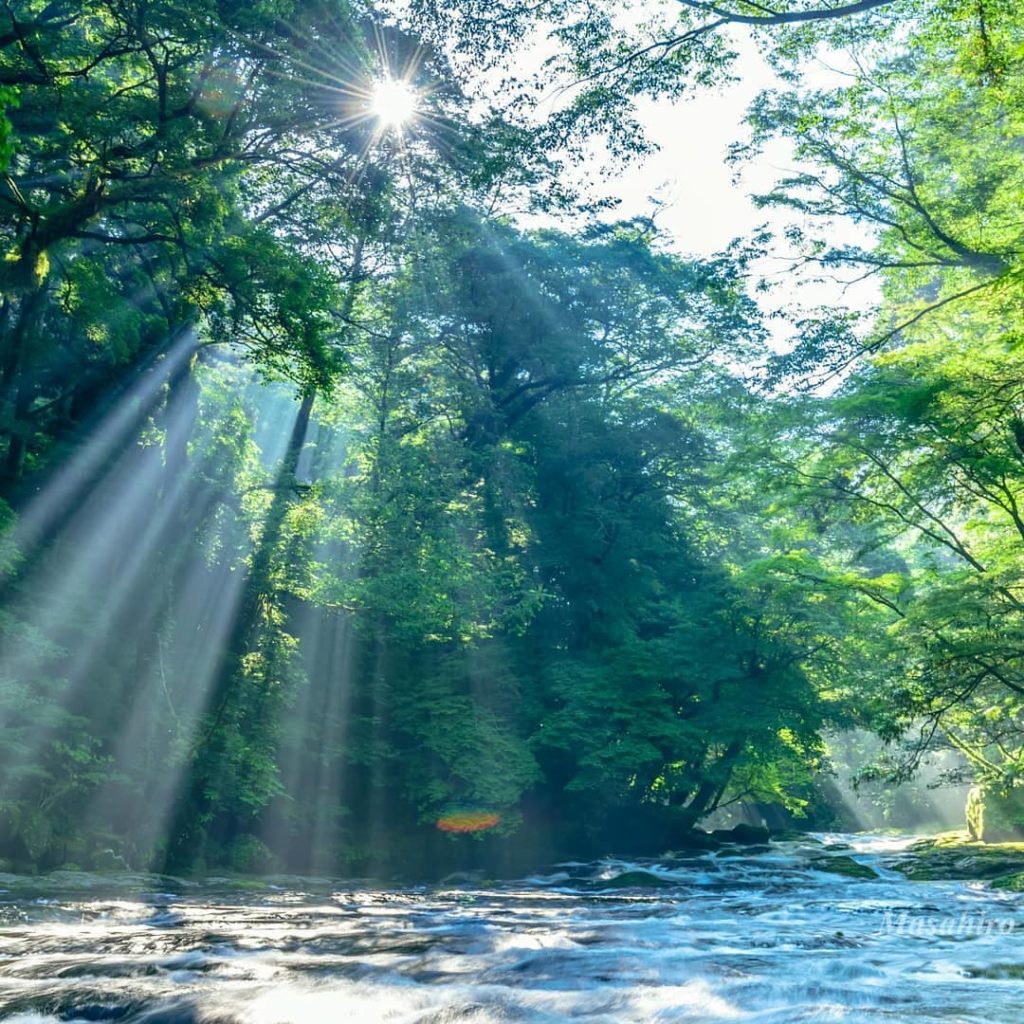@Visit Japan: The sunbeams radiate on the sparkling stream at Hirokawara of Kikuchi Gorge in K…