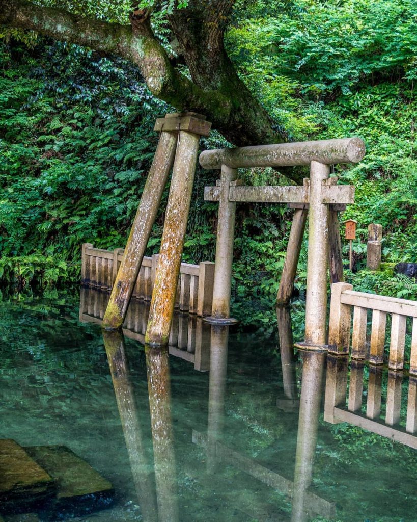 @Visit Japan: In the sacred forest of Kashima-jingu #Shrine, the perennial spring creates this…