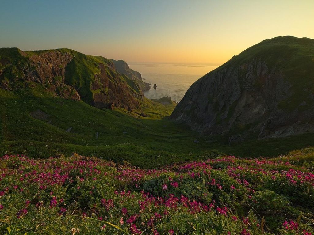@Japan Travel: Nothing beats Golden Hour, and our photojournalist @sandrobernardinello captured…