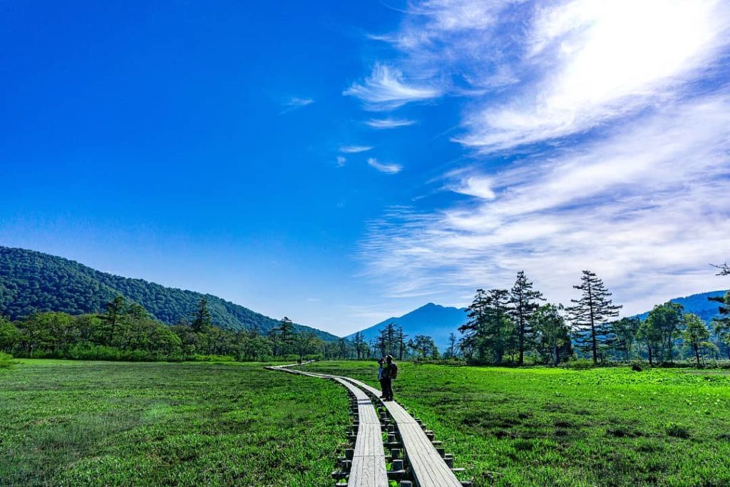 @Visit Japan: Featured in JNTO 2019 Wall Calendar: Ozegahara (Oze Marsh) in Oze National Park …