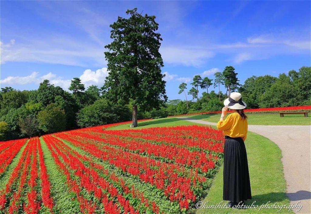 @Visit Japan: Looking for the most Instagrammable places in Yonago area? Catch a free shuttle …