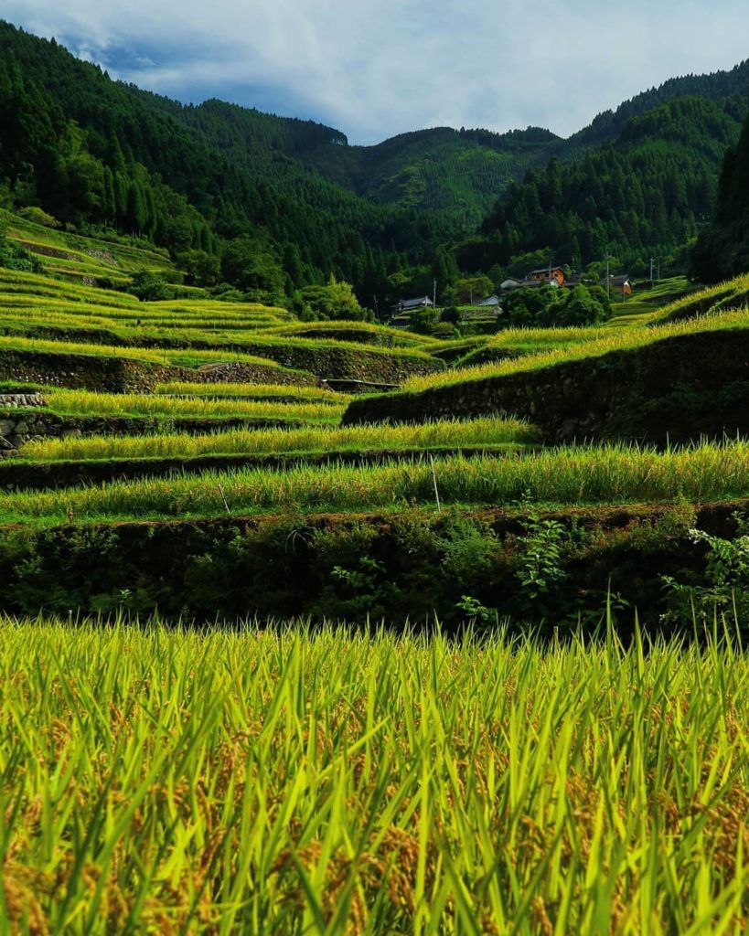 @Visit Japan: “There’s nothing special here, but mountains, forests, spring water, and rice fi…