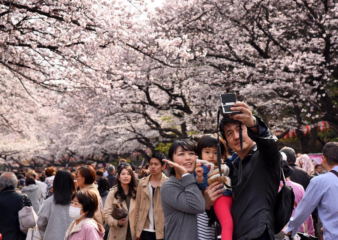 Normalt ubemandede tilgivet The Japan Times: A family takes a selfie at Tokyo's Ueno Park. (Satoko  Kawasaki photo) #Japan #ch... - Alo Japan