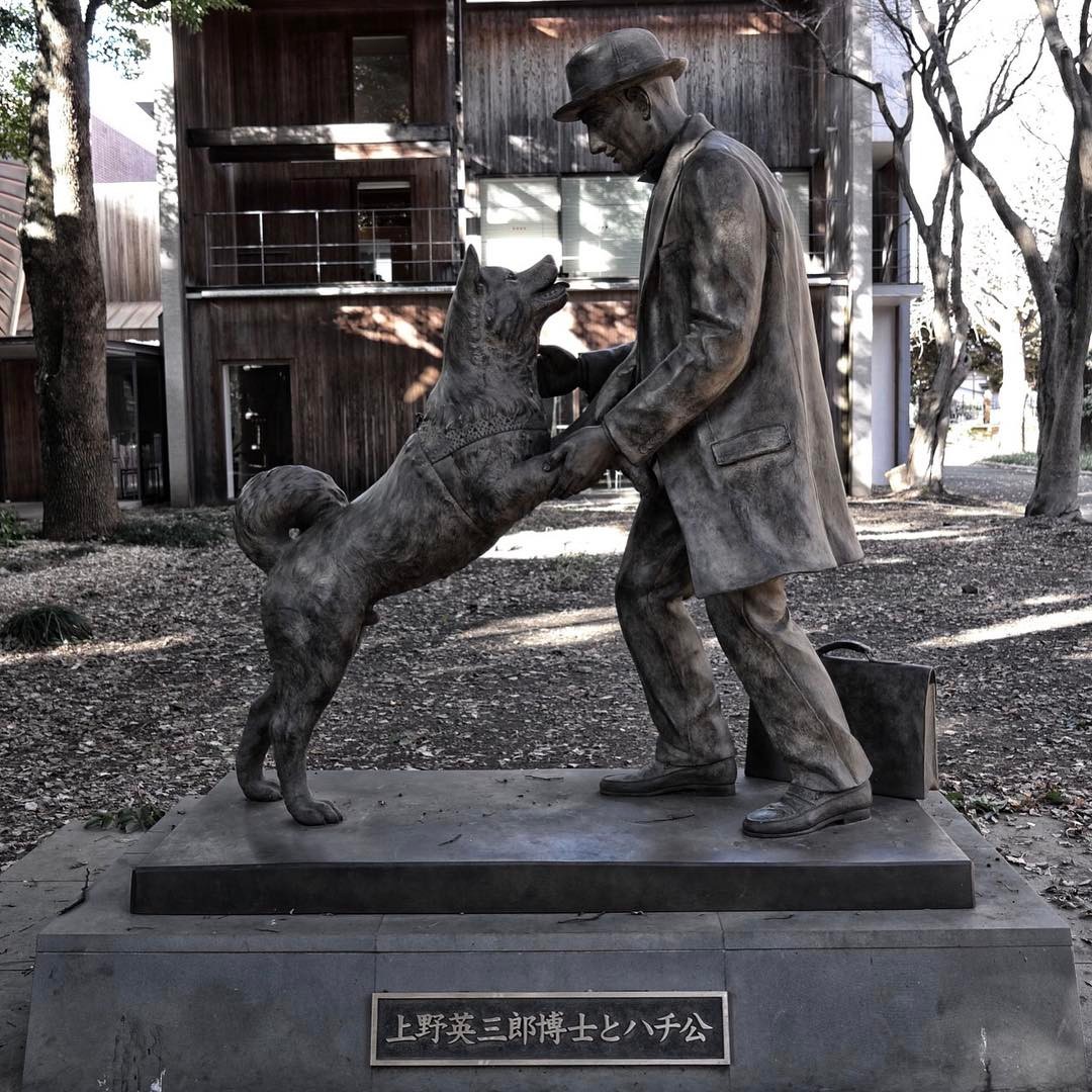 Памятник а японии хатико