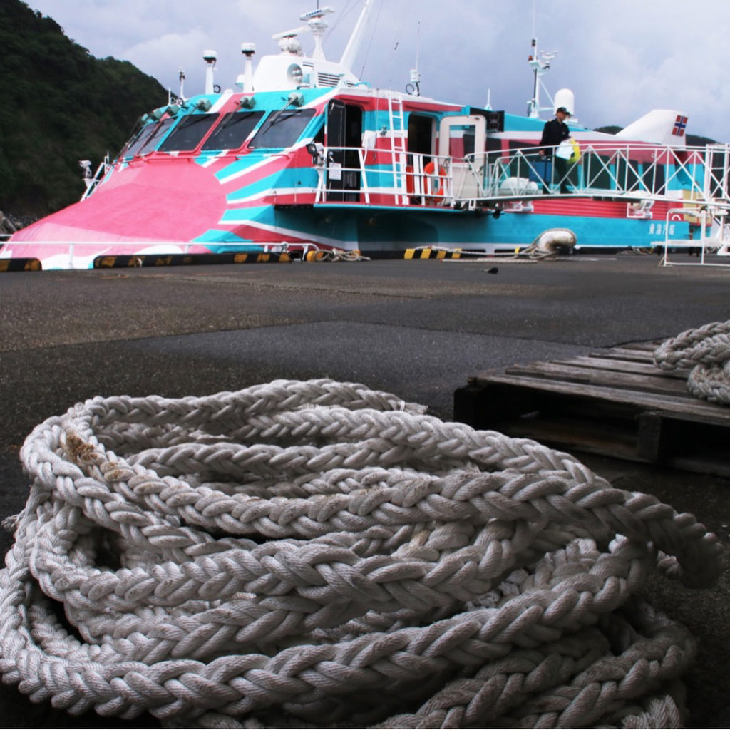 @The Japan Times: Waves, volcanoes, farms — believe it or not, but this is technically Tokyo. A hi…