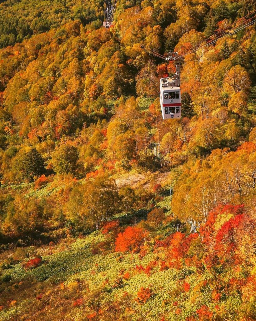 @Visit Japan: The #ShinhotakaRopeway guides you through beautiful fall foliage that peaks in l…