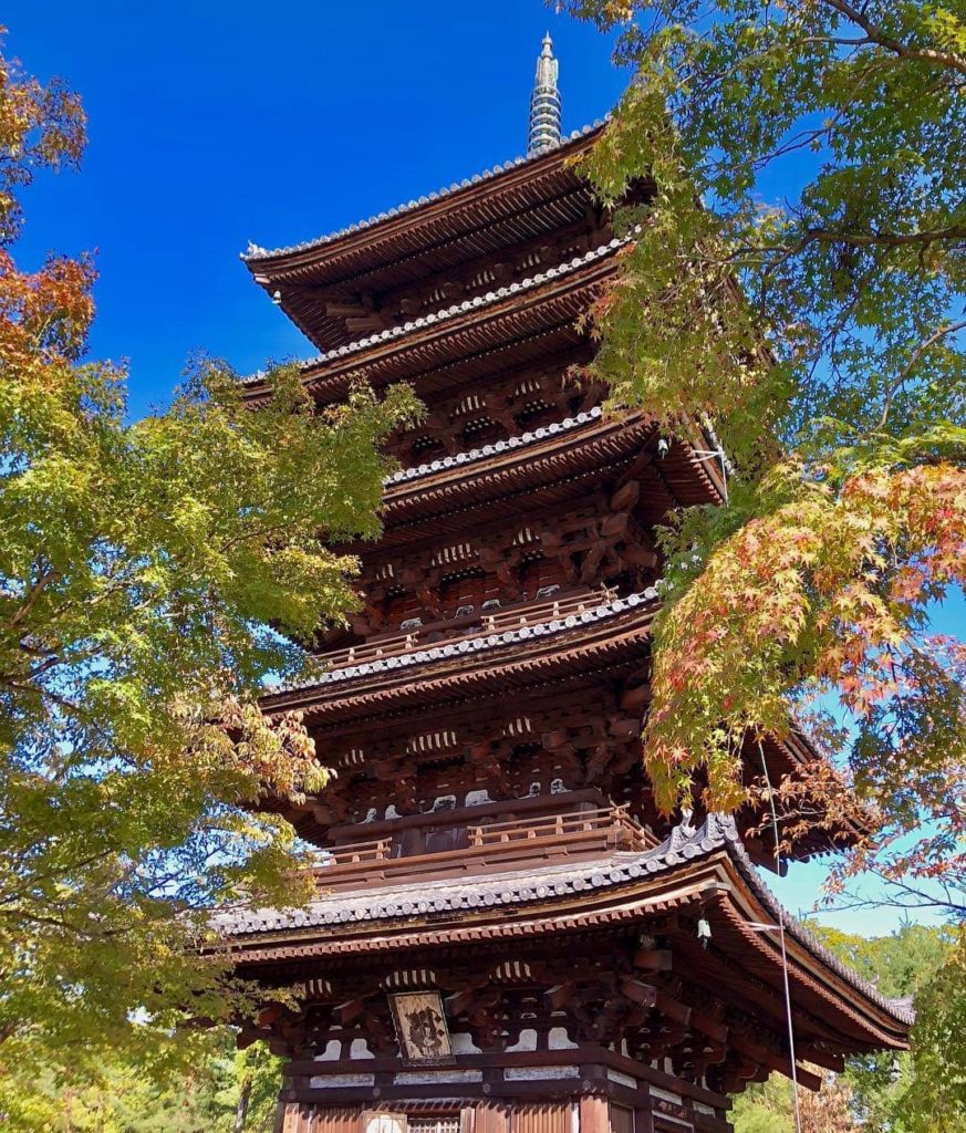 @Visit Japan: In late October, these Japanese maple trees were just changing colors at the 113…