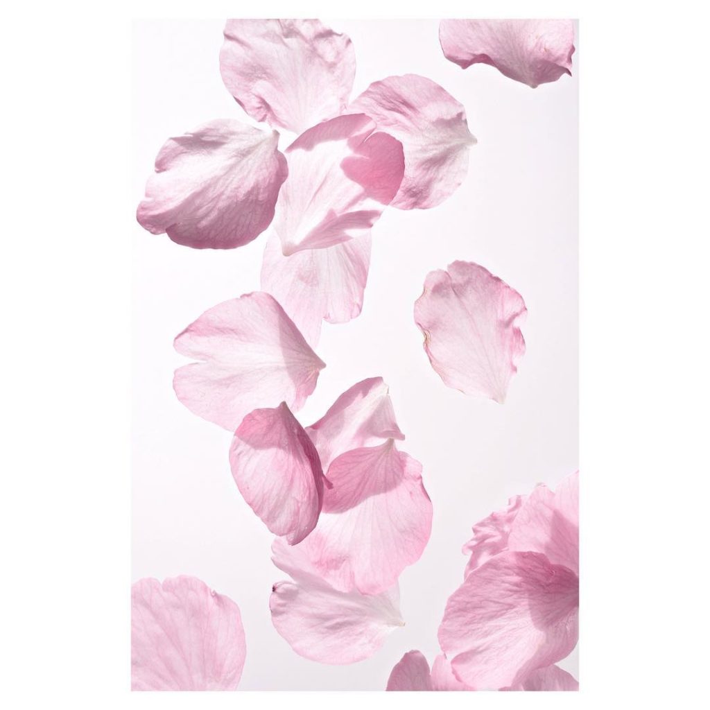 @SHISEIDO: Inspired by the latest cosmetic advancements, WHITE LUCENT MicroTargeting Spot C…