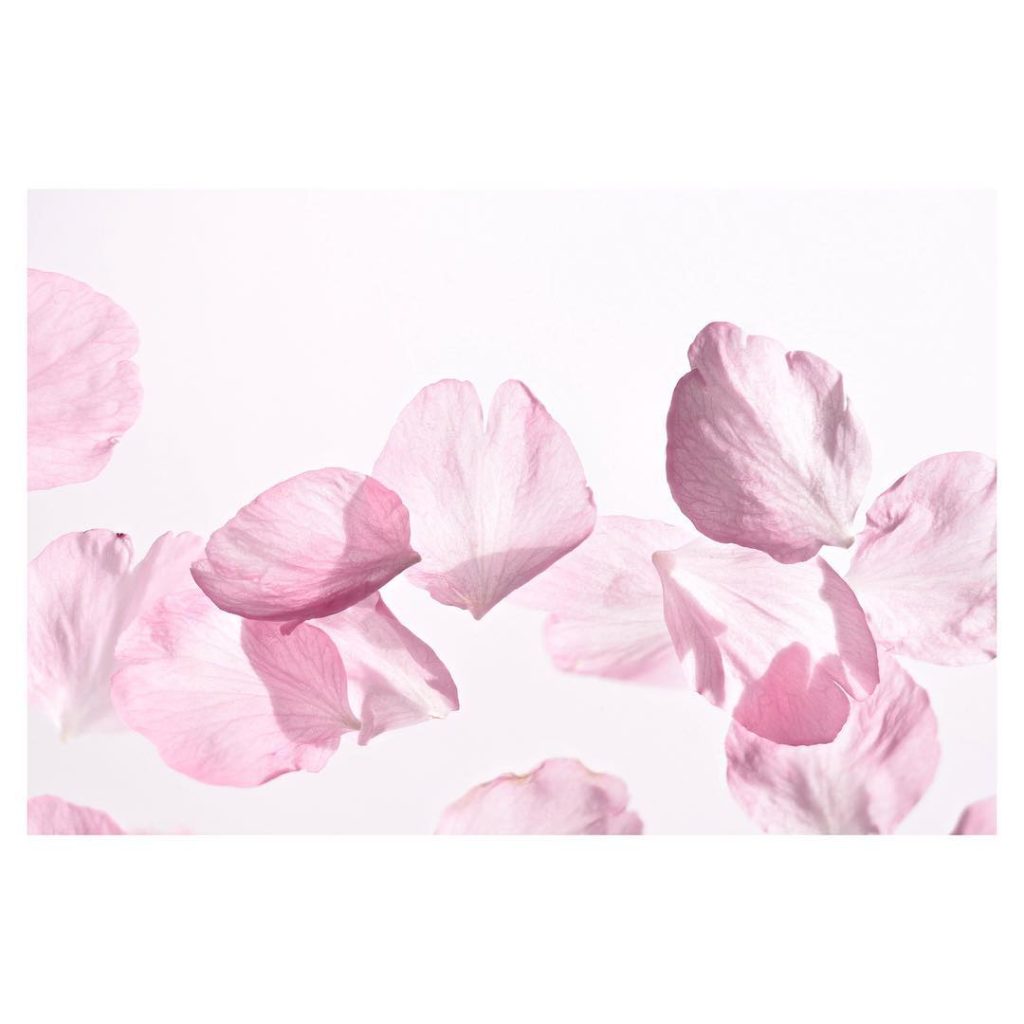 @SHISEIDO: Inspired by the latest cosmetic advancements, WHITE LUCENT MicroTargeting Spot C…