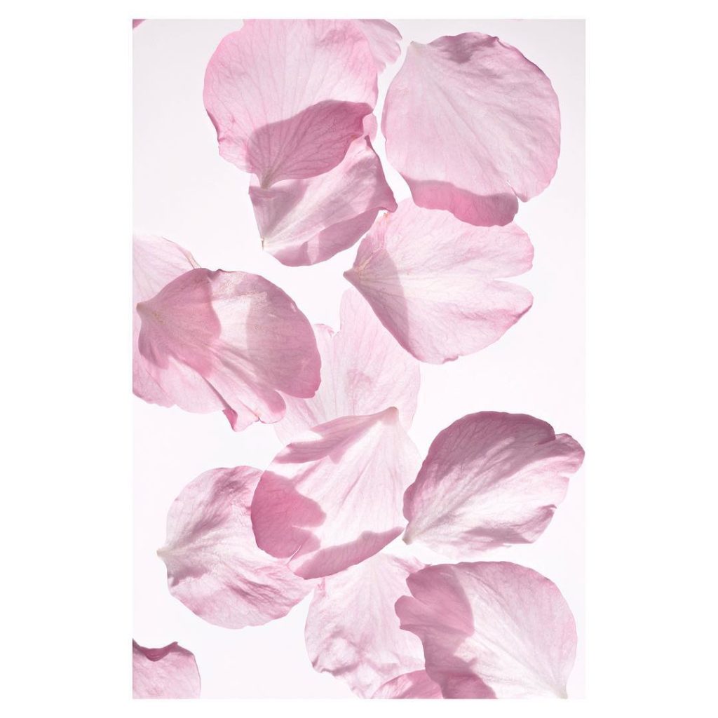 @SHISEIDO: Inspired by the latest cosmetic advancements, WHITE LUCENT MicroTargeting Spot C…