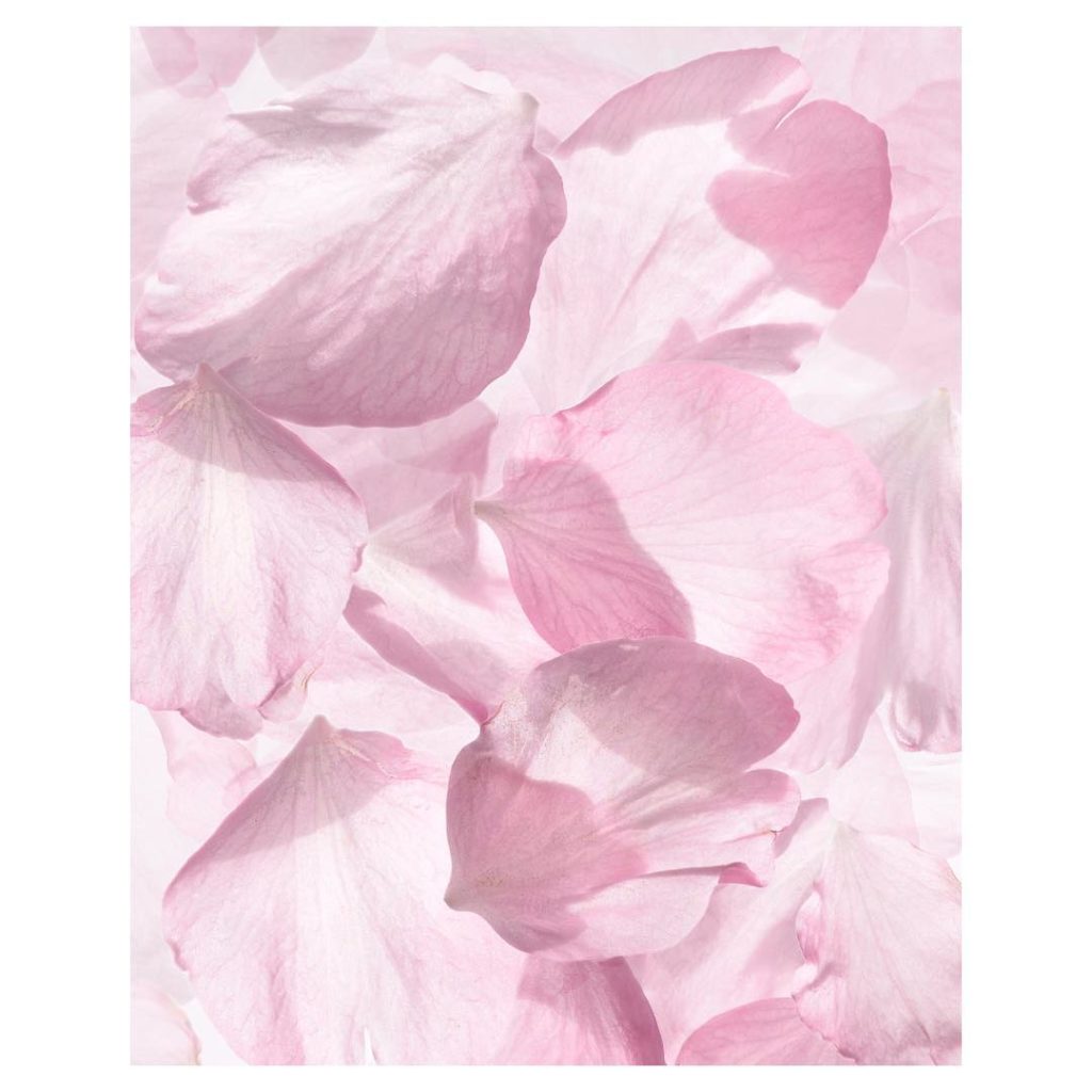 @SHISEIDO: Find your light with WHITE LUCENT Luminizing Surge Formulated with our exclusiv…