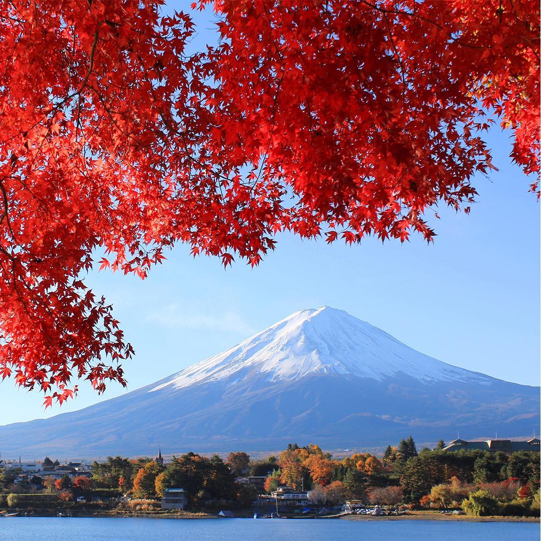 Japan Airline Autumn Has Come 富士山 紅葉 赤 秋 Japan Mtfuji Symbol Autumn Autumnleaves Re Alo Japan
