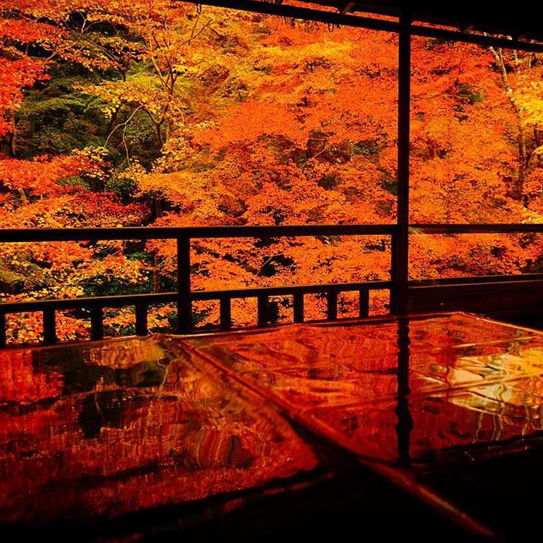 Japan Airline Only This Time Of Year By Hetareclimber 京都 瑠璃光院 紅葉 秋 旅 Japan Kyoto A Alo Japan