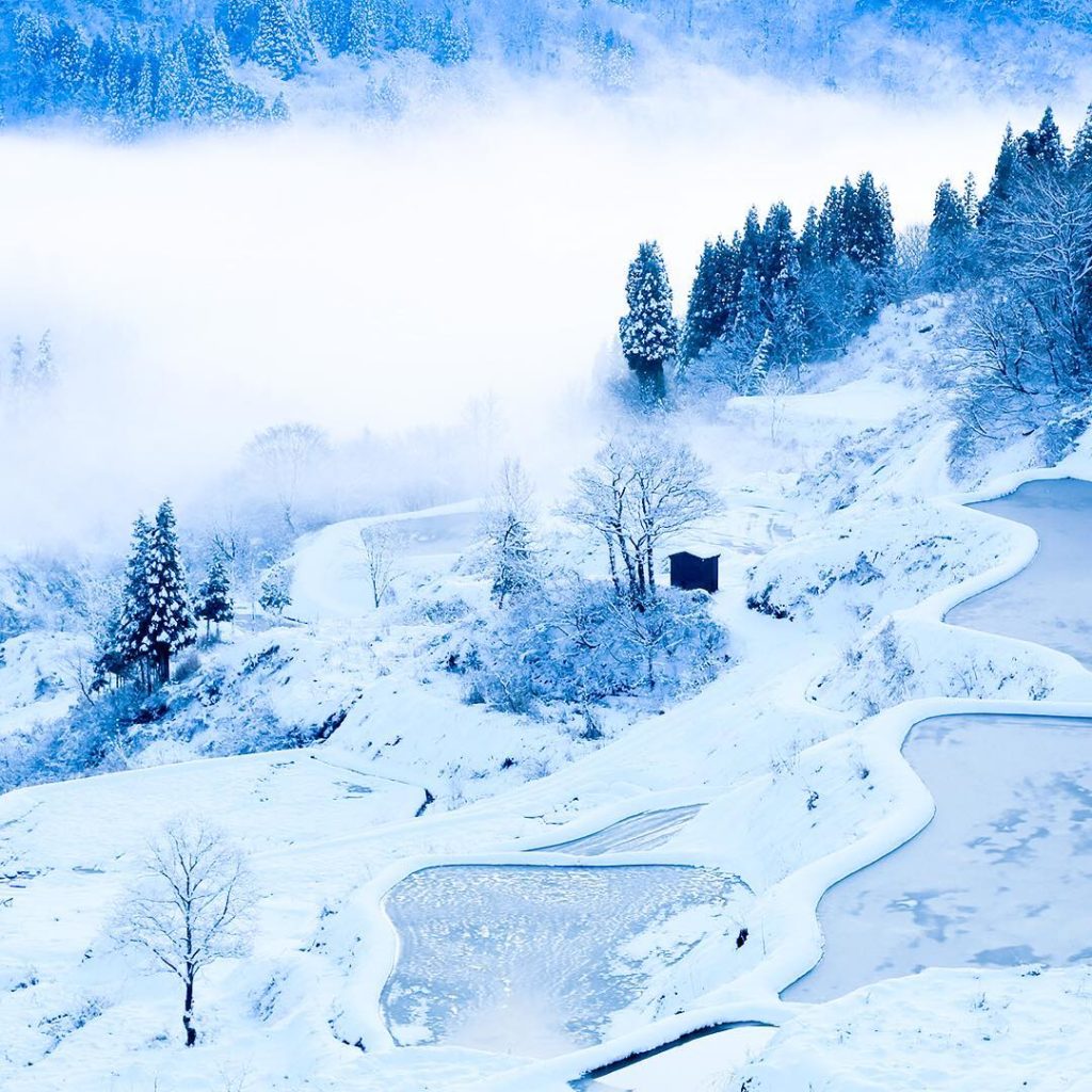 @Japan Airline: The fog gives a mysterious quality to these snow-covered rice terraces in Tokama…