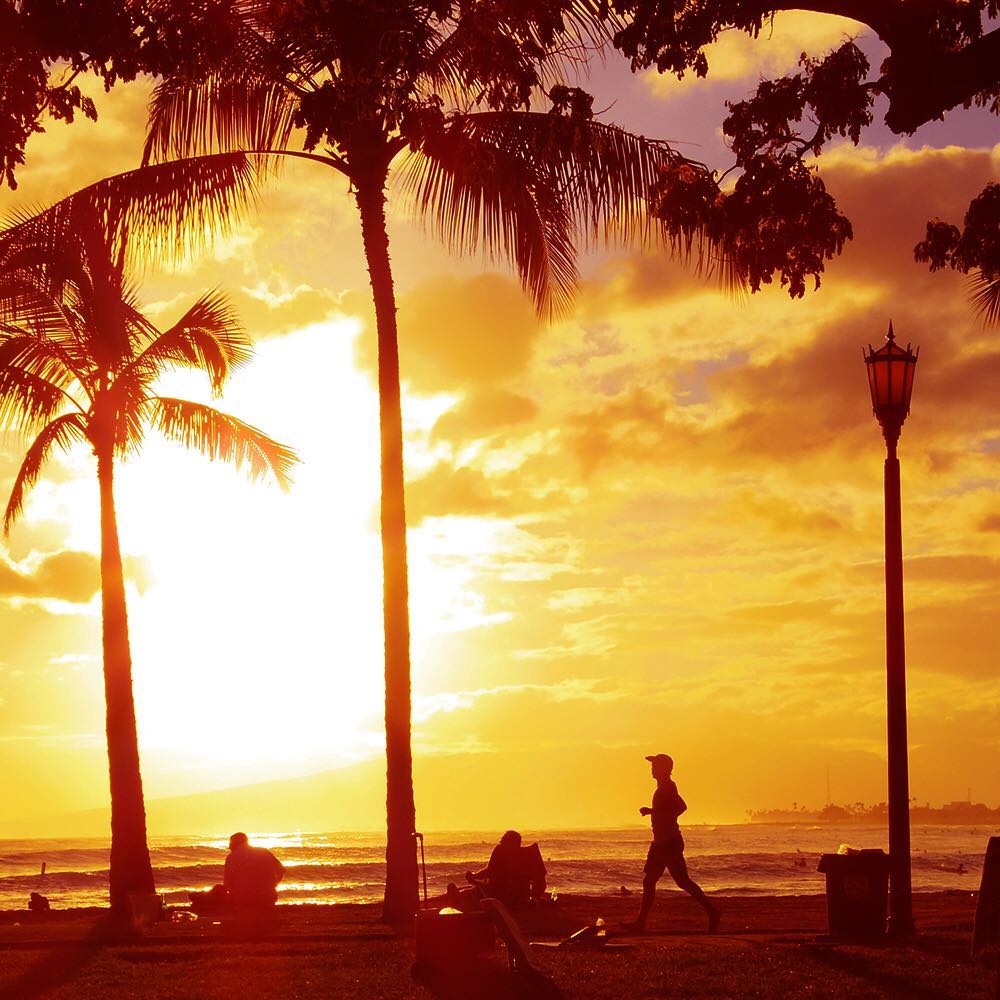 Japan Airline Colorsofhawaii Orange ハワイ 夕日 ヤシの木 Hawaii Sunset Siluet Beauty Haw Alo Japan