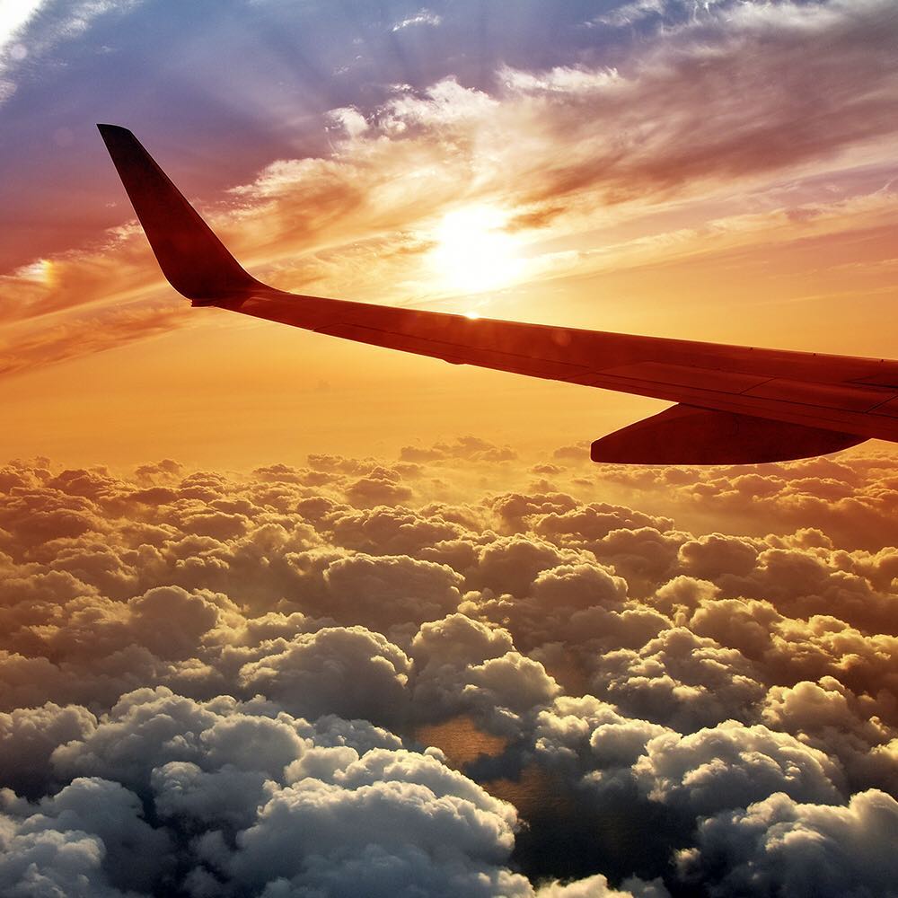 Japan Airline Colorsofhawaii Orange ハワイ 空 飛行機 空の旅 Hawaii Destination Onboard Ab Alo Japan