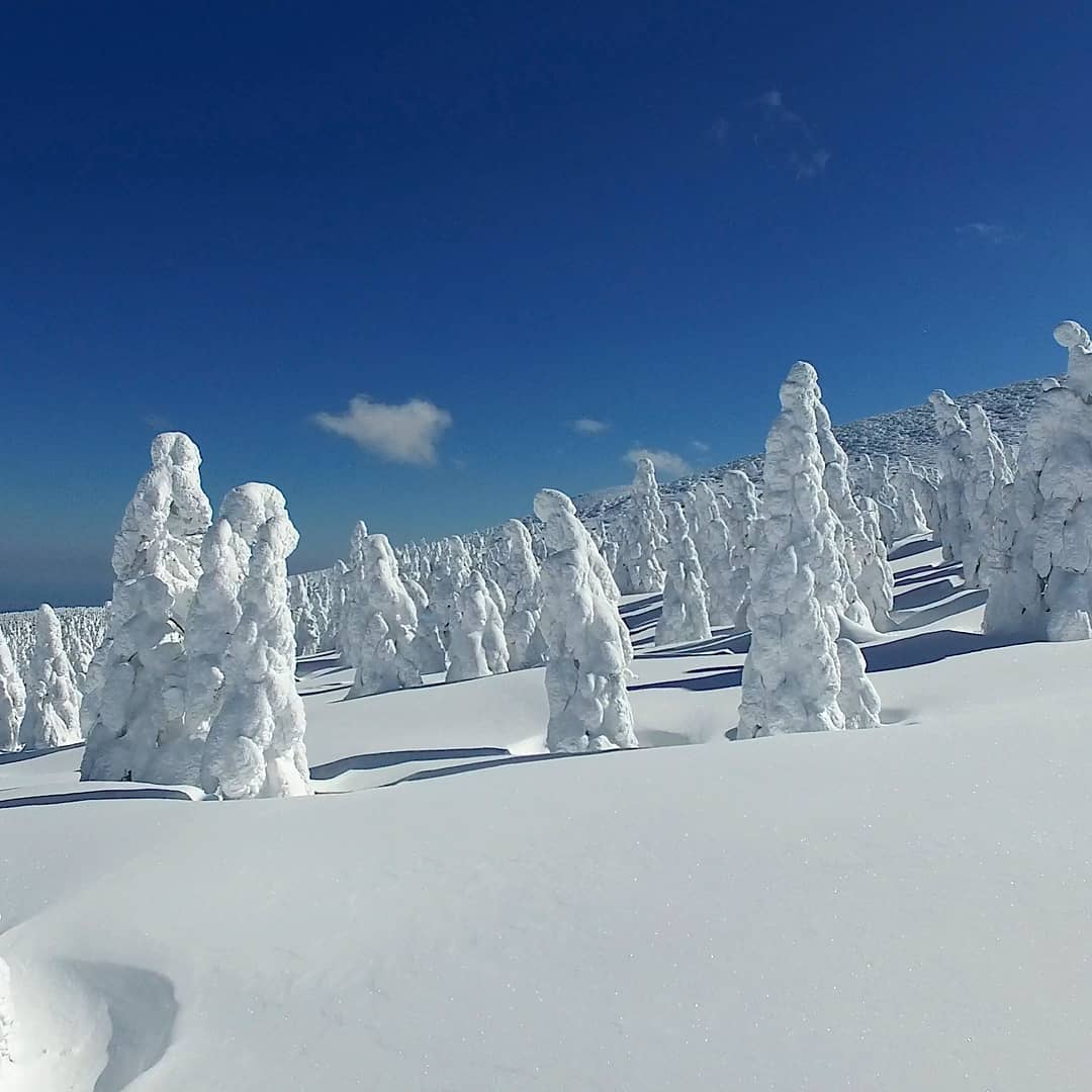 Visit Japan ZAO SNOW MONSTERS Every winter, as Siberian winds rush