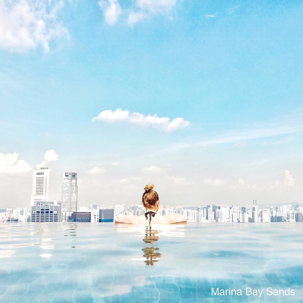 @Japan Airline: .
Warm enough for a dip in December!
Take in the stunning cityscape from the Inf…