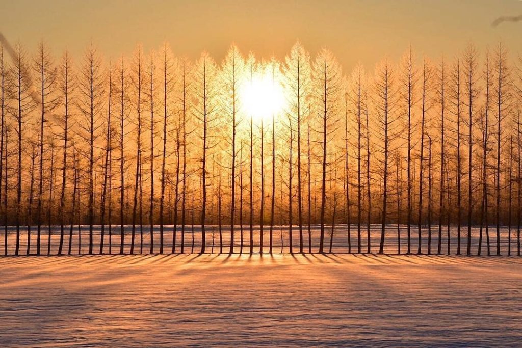 @Visit Japan: Are you an early bird? Then this breathtaking landscape is for you! See the sun …