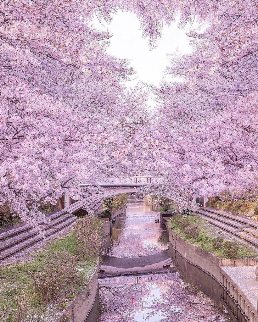 @Japan Travel: Saitama is less than an hour from Tokyo, which makes it perfect for a different …