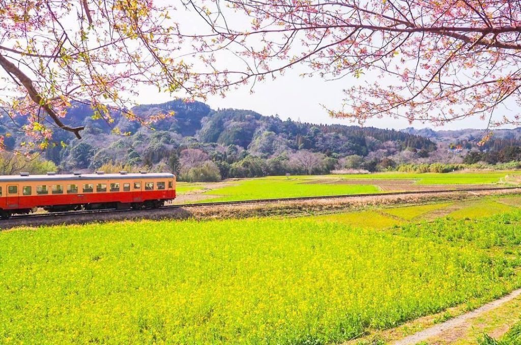 @Visit Japan: Spring is just around the corner! You won’t want to miss a ride on #KominatoRail…