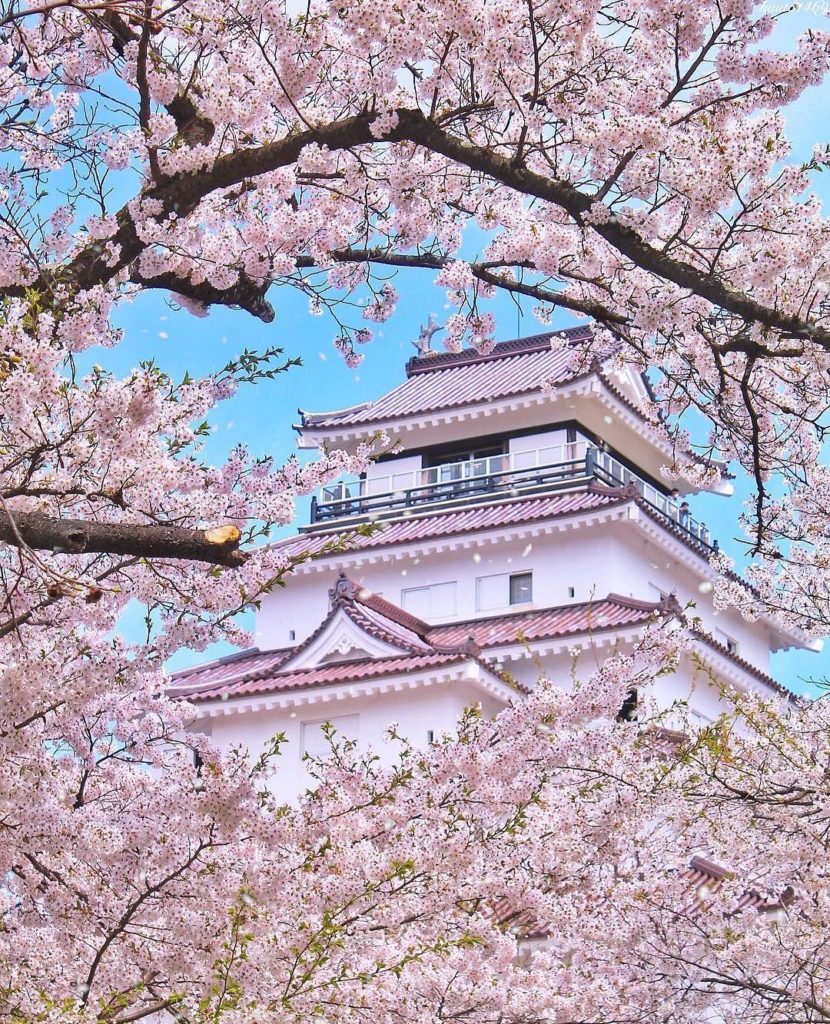 It's time to start planning where to be this spring! We recommend Tsuruga Castle...