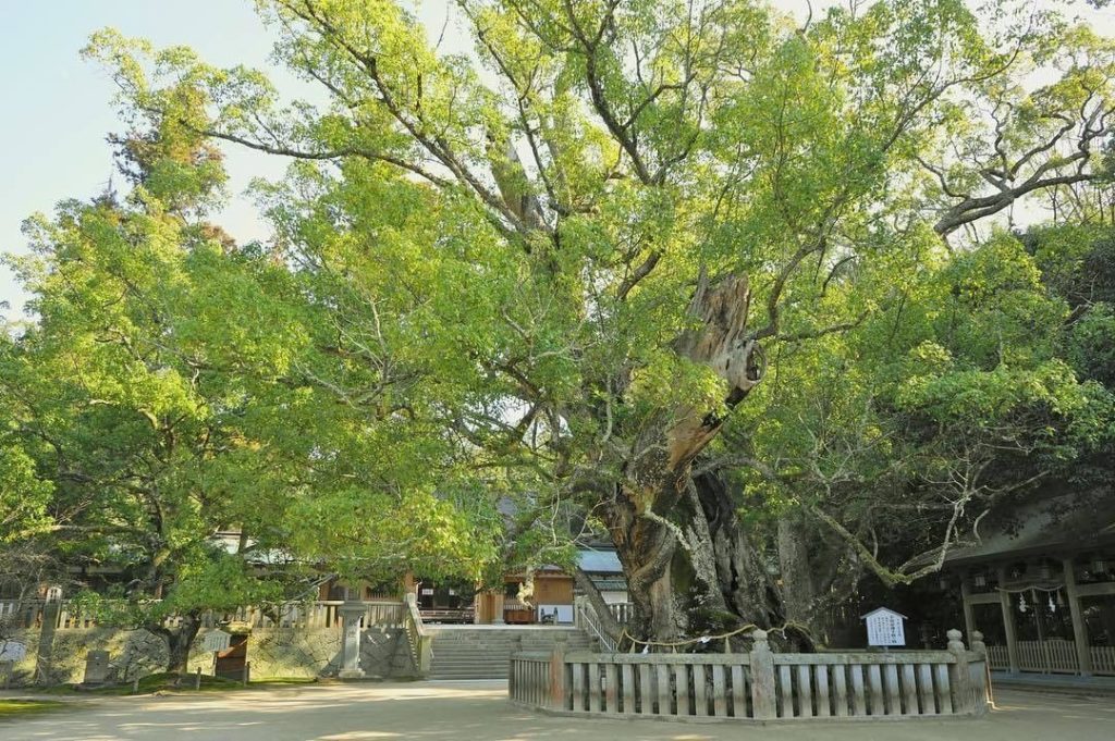 Visit Japan: We’d like to introduce the following photo submission for the National Parks of … We'd like to introduce the following photo submission for the National Parks of ...