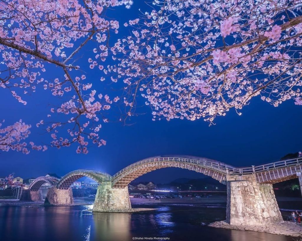 Visit Japan: Imagine how beautiful it will be when the cherry trees lining the river bank com… Imagine how beautiful it will be when the cherry trees lining the river bank com...
